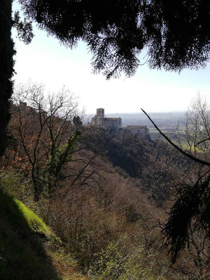 Hotel Villa Elda Assisi Exterior foto